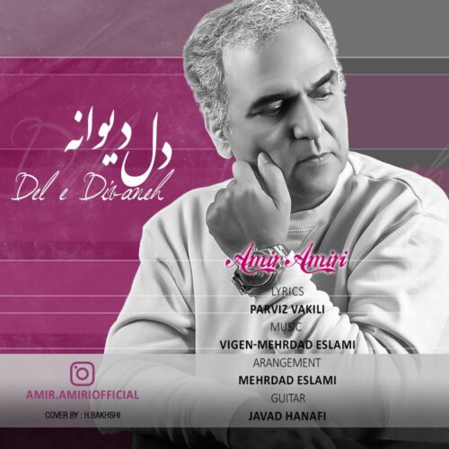 Amir Amiri – Dele Divaneh