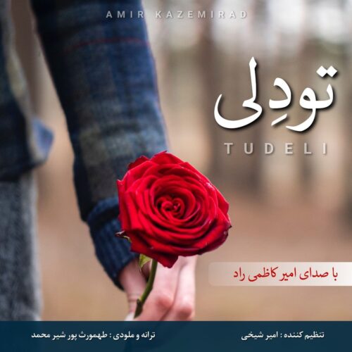 Amir Kazemi Rad – Tudeli