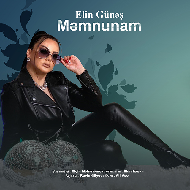 Elin Günəş – Məmnunam