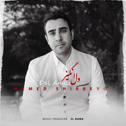 Hamed Shirbeygi – Del Angiz
