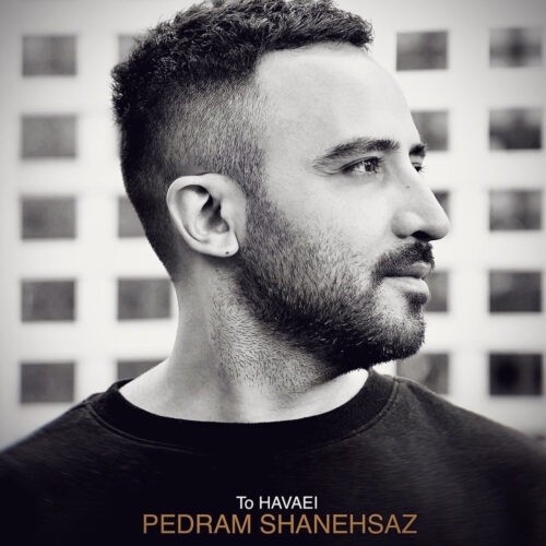 Pedram Shanehsaz – To Havaei