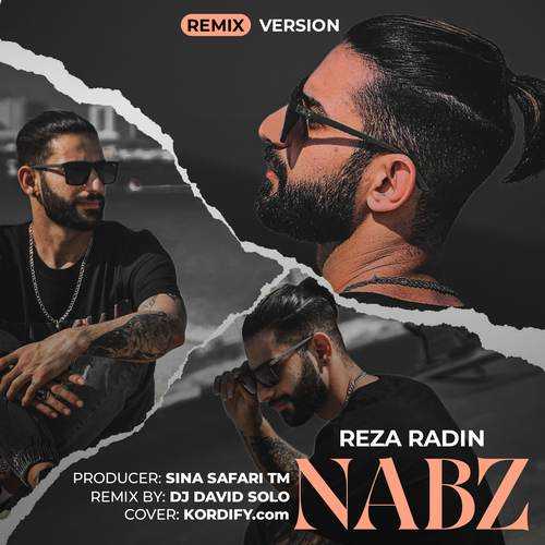 Reza Radin – Nabz (Remix)