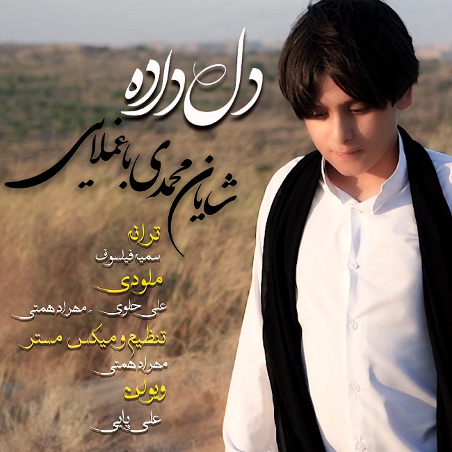 Shayan Mohamadi Baghmollaei – Deldadeh