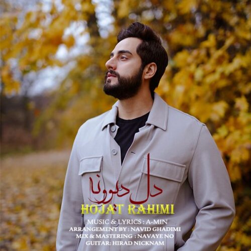 Hojat Rahimi – Dele Divoone
