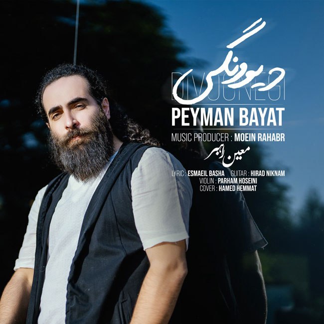 Peyman Bayat – Divoonegi