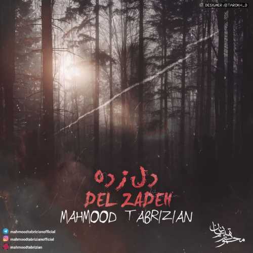 Mahmood Tabrizian – Hamisheh