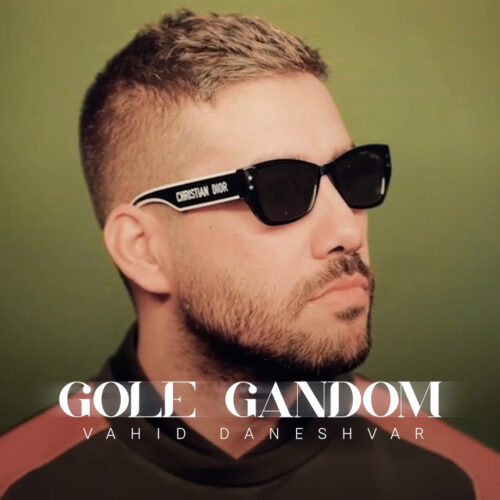 Vahid Daneshvar – Gole Gandom