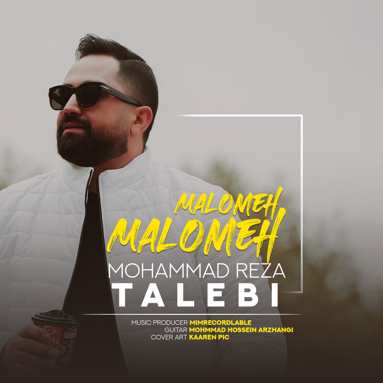 Mohammad Reza Talebi – Maloome Maloome