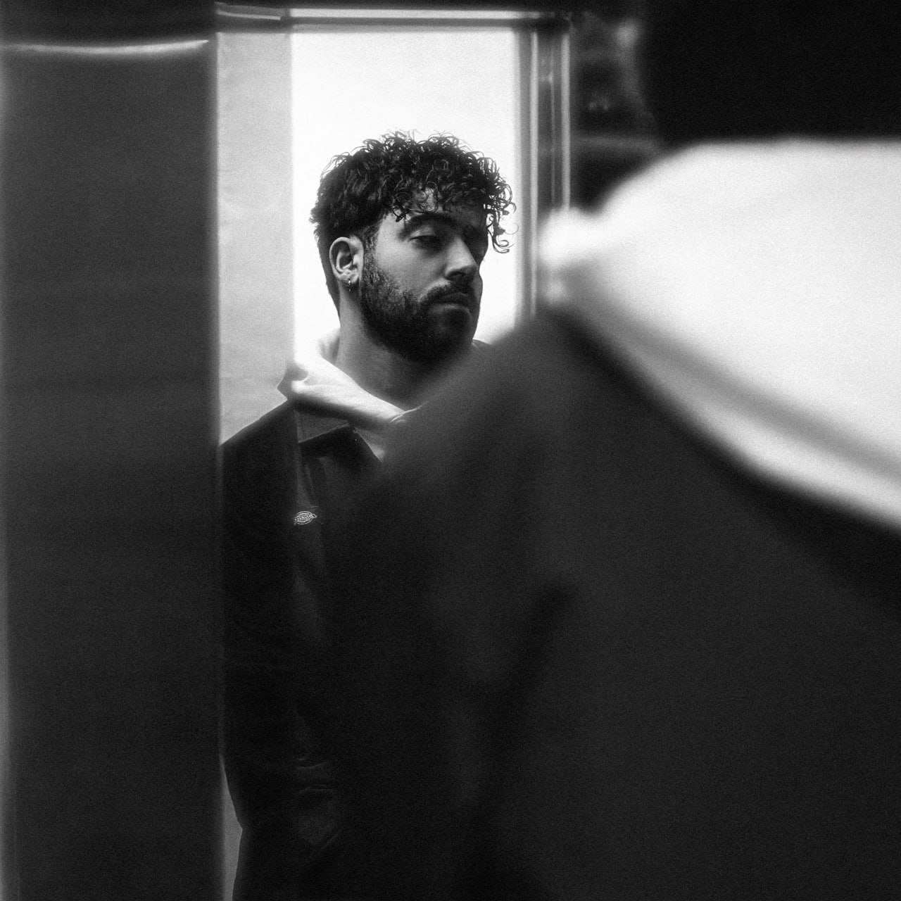 Shervin Hajipour – Ashghal