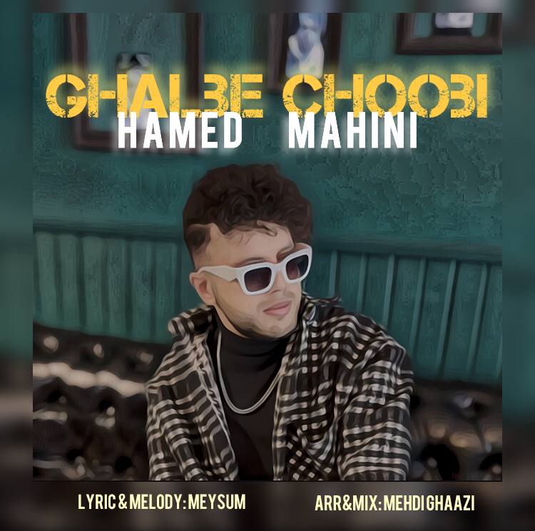 Hamed Mahini – Ghalbe Choobi