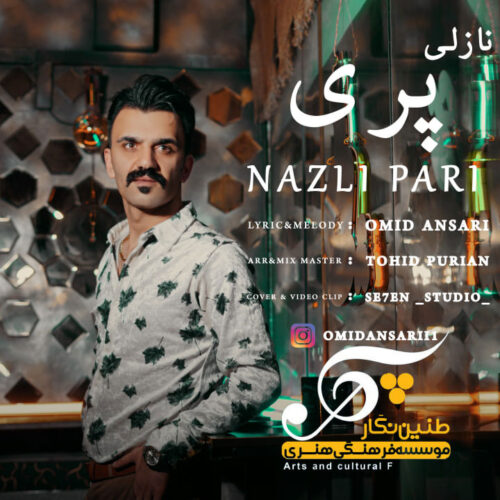 Omid Ansari – Nazli Pari