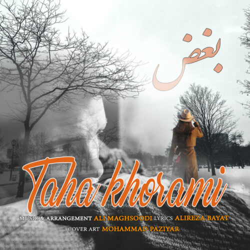 Taha Khorami – Boghz