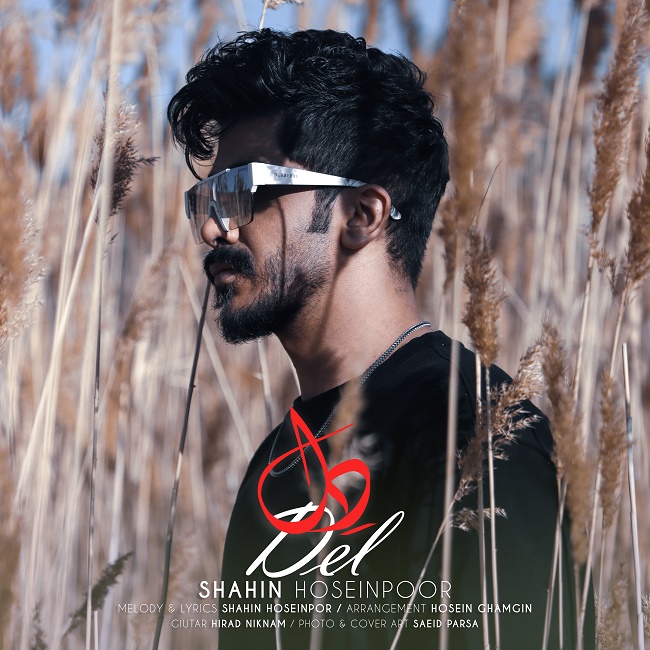 Shahin Hoseinpoor – Del