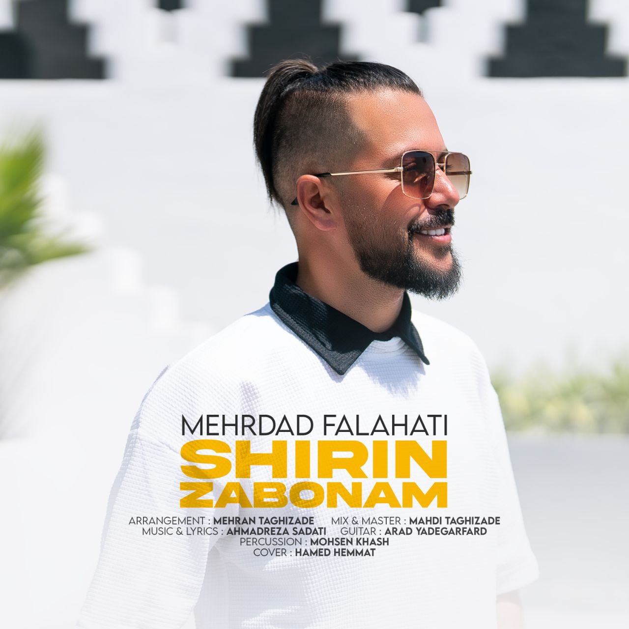 Mehrdad Falahati – Shirin Zaboonam