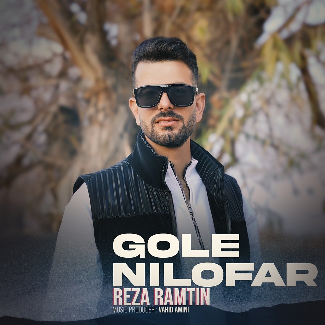 Reza Ramtin – Gole Niloofar