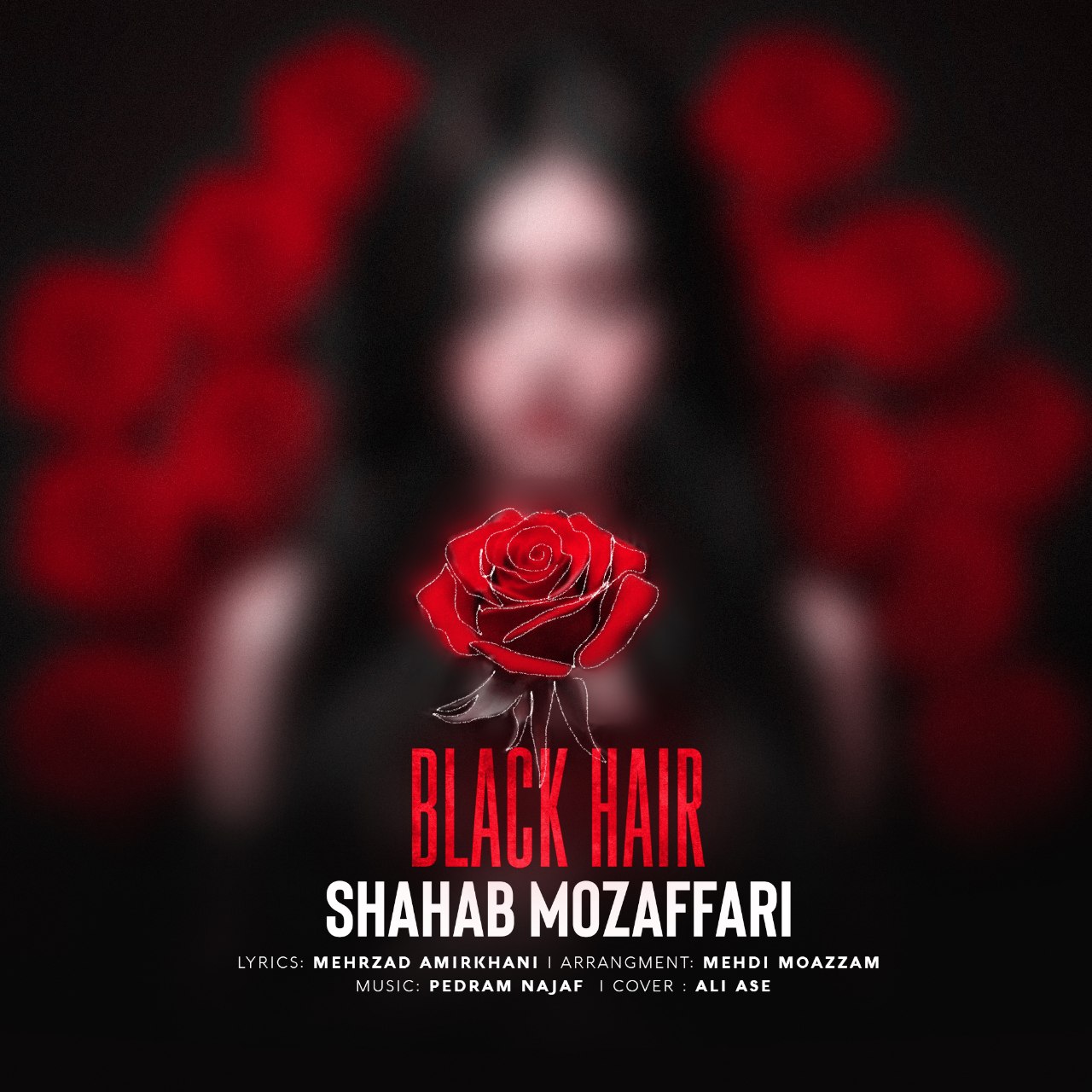 Shahab Mozaffari – Black Hair