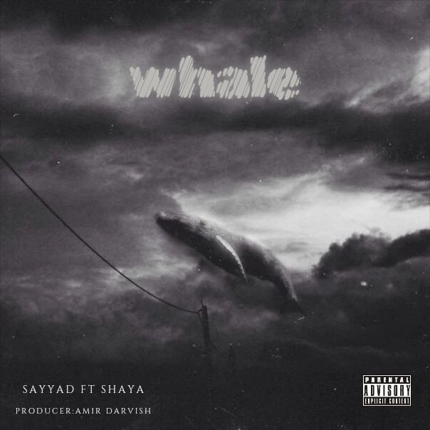 Shaya & Sayyad – Whale