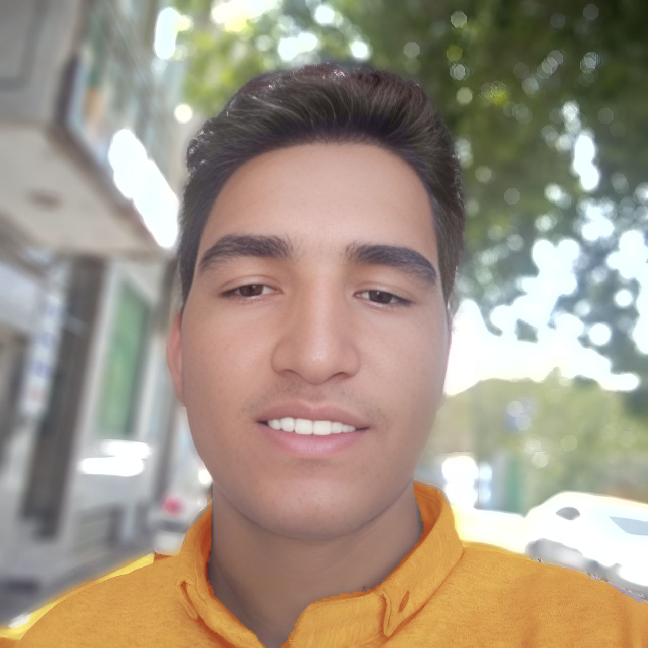 Milad Jahanbakhsh – Basket Of Roses