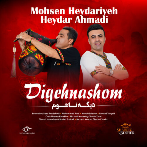 Mohsen Heydariyeh & Heydar Ahmadi – Digeh Nashom