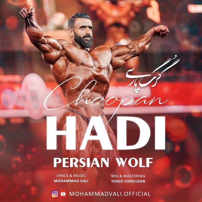 Mohammad Vali – Persian Wolf