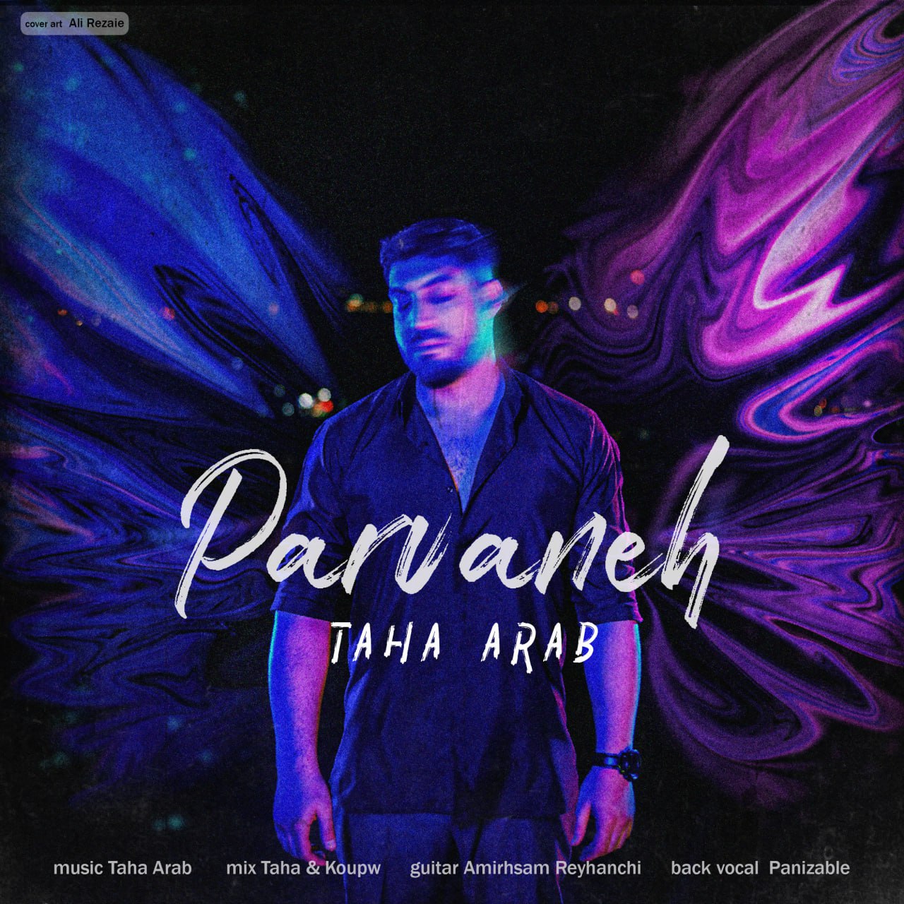 Taha Arab – Parvaneh