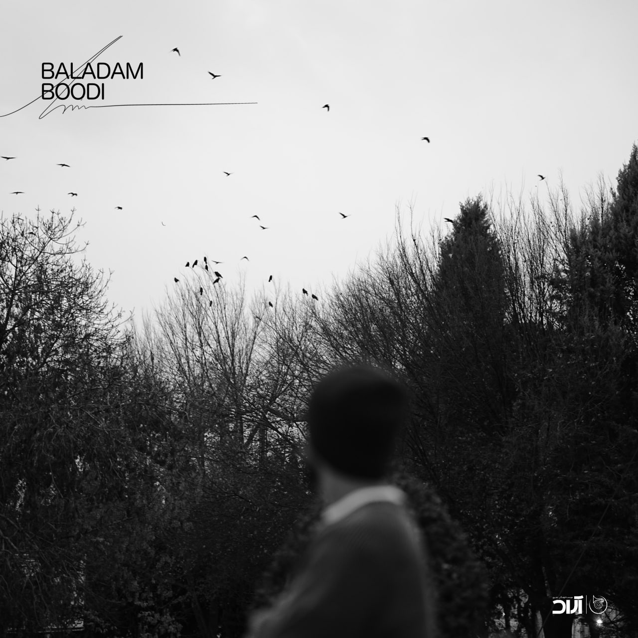 Haamim – Baladam Boodi