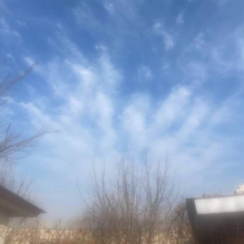 Meytideepe – Christmas Gift