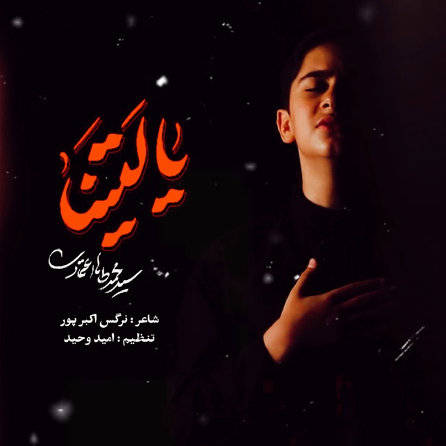 Mohammad Taha Etemadi – Ya Laytana