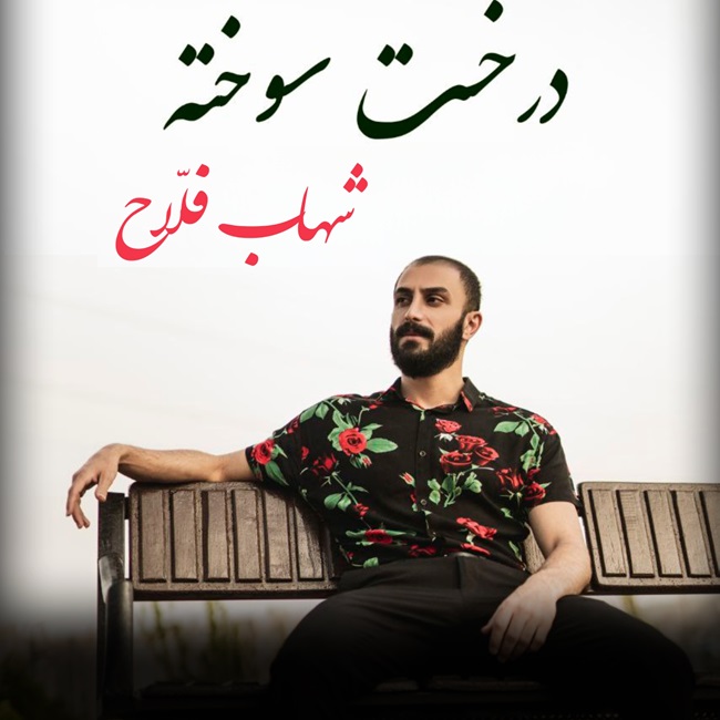 Shahab Fallah – Derakhte Sookhte