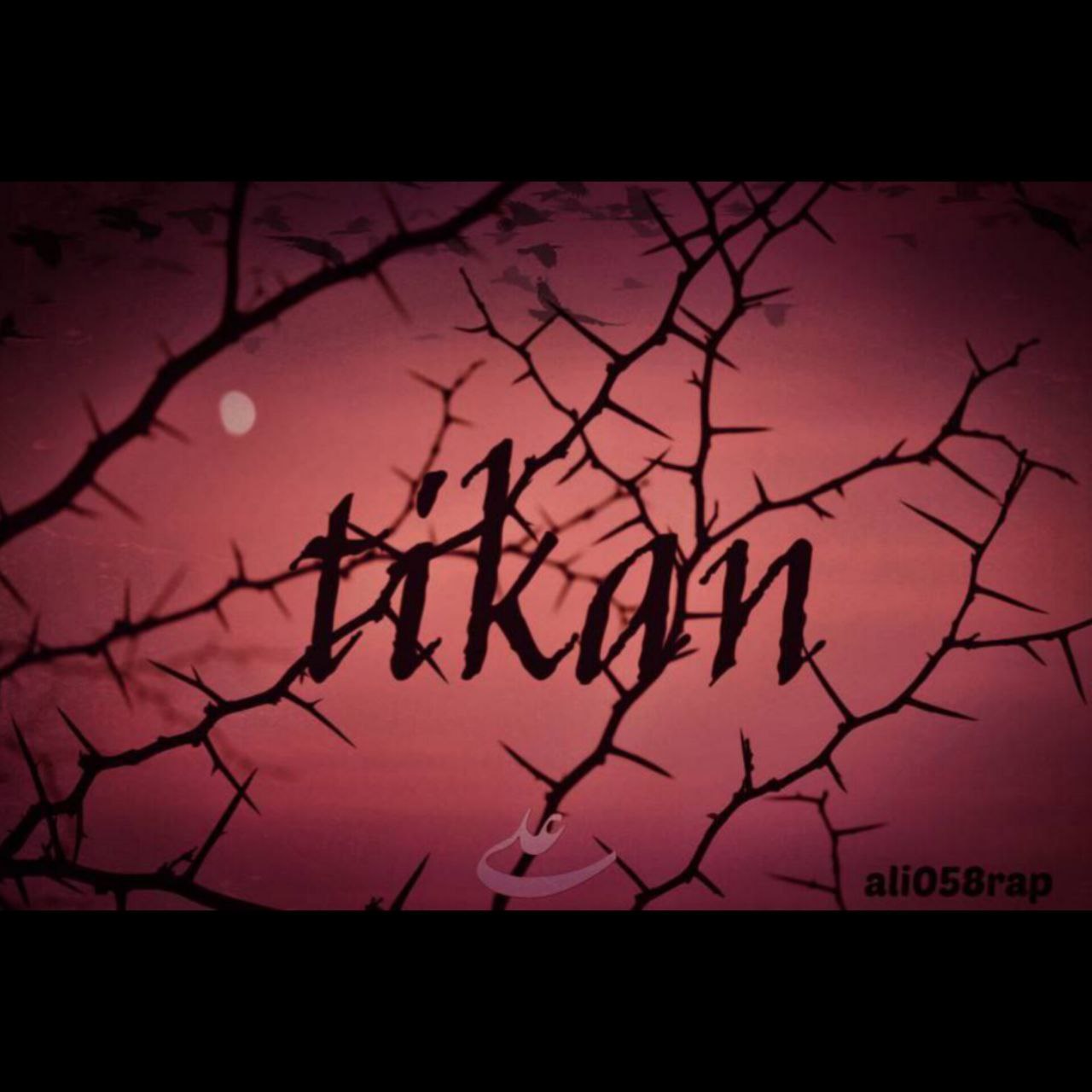 Ali – TIKAN