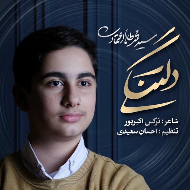 Mohammad Taha Etemadi – Deltangi