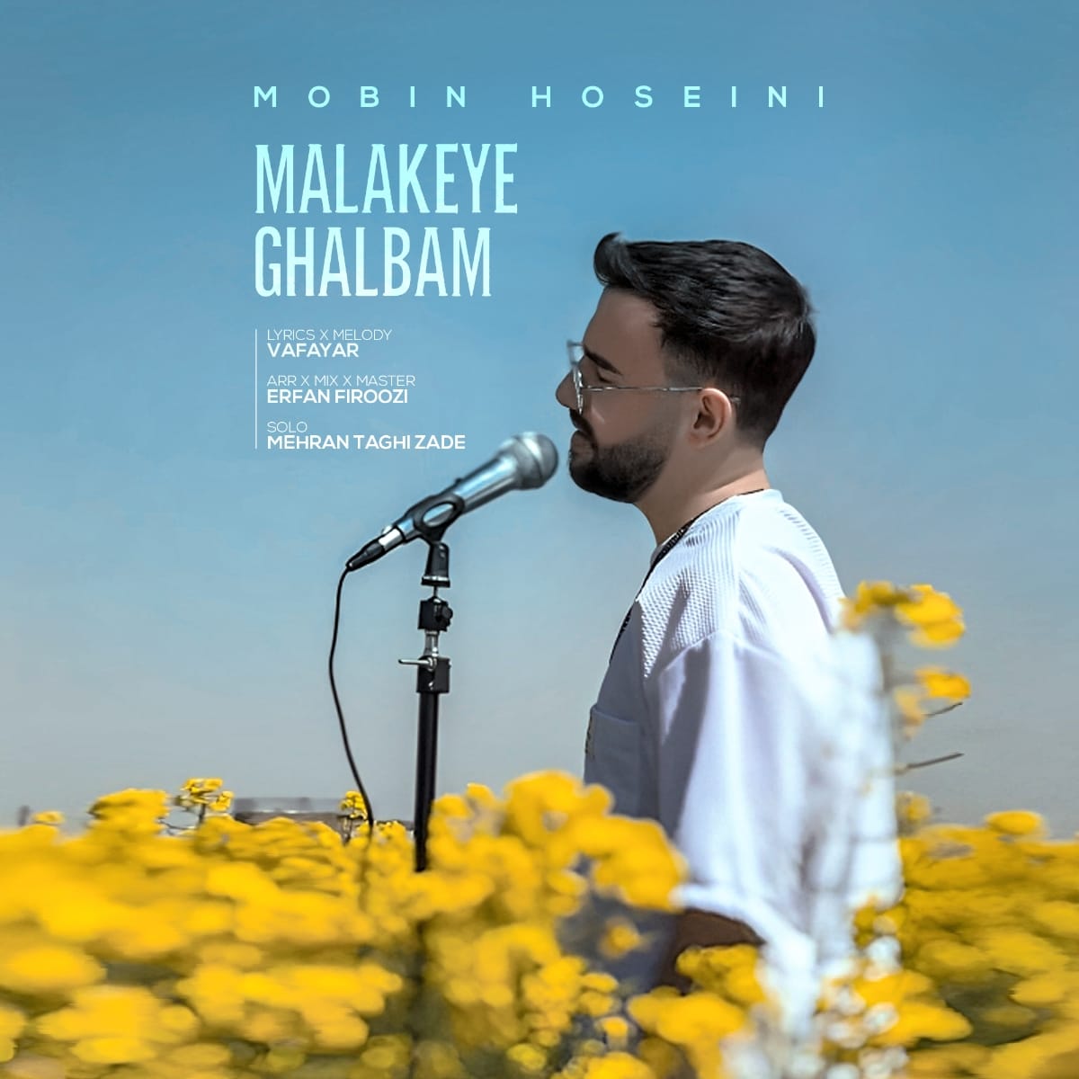 Mobin Hoseini – Malakeye Ghalbam