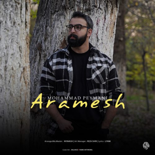 Mohammad Peymani – Aramesh