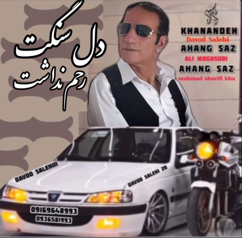 Davood Salehi – Dele Sanget Rahm Nadasht