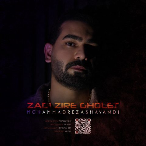 Mohammadreza Shavandi – Zadi Zire Gholet
