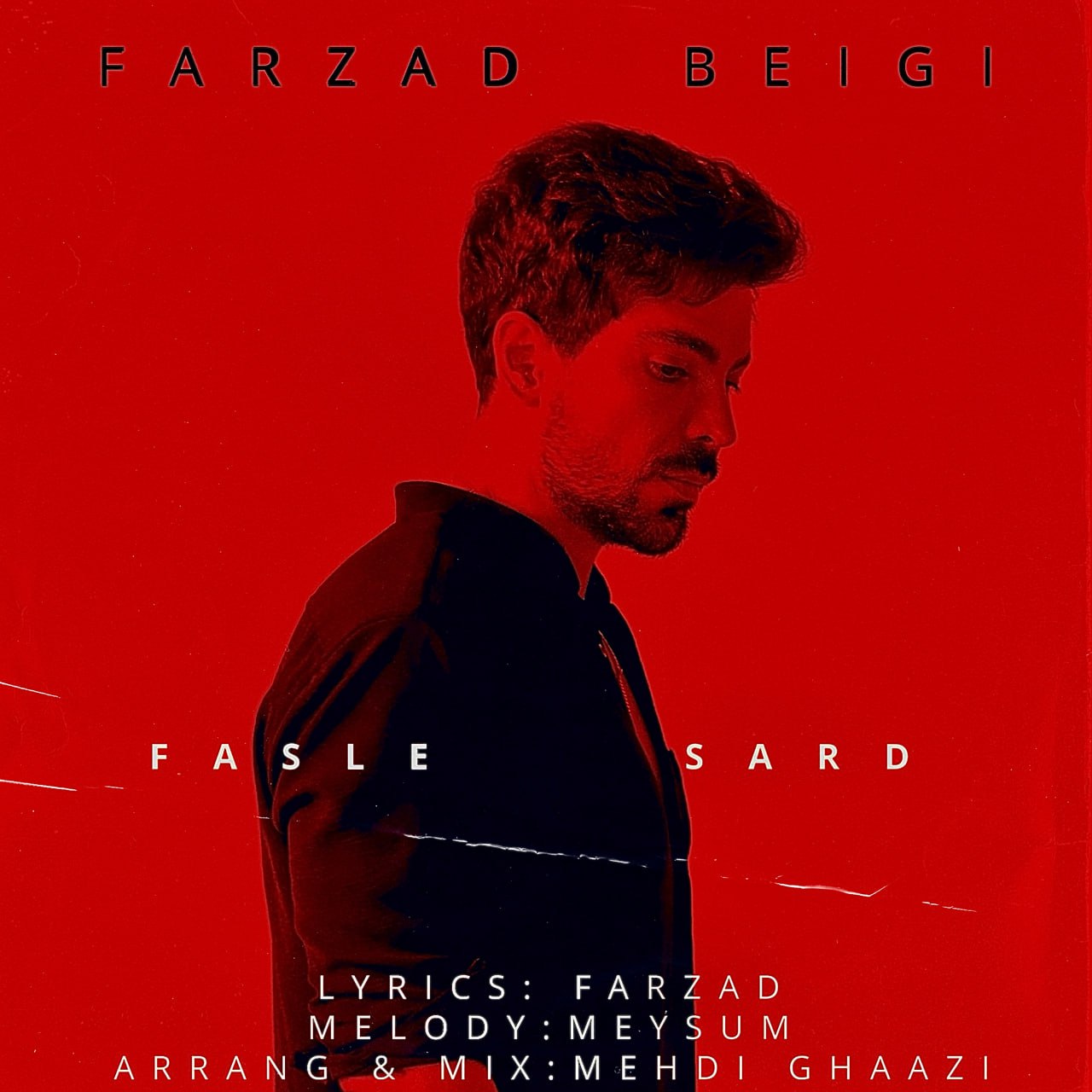 Farzad Beigi – False Sard