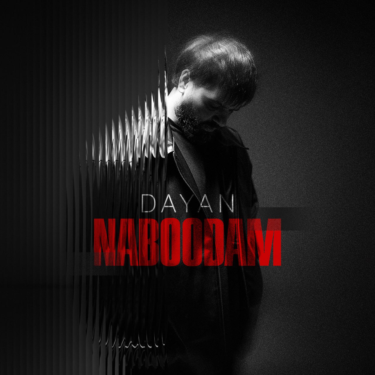 Dayan – Naboodam