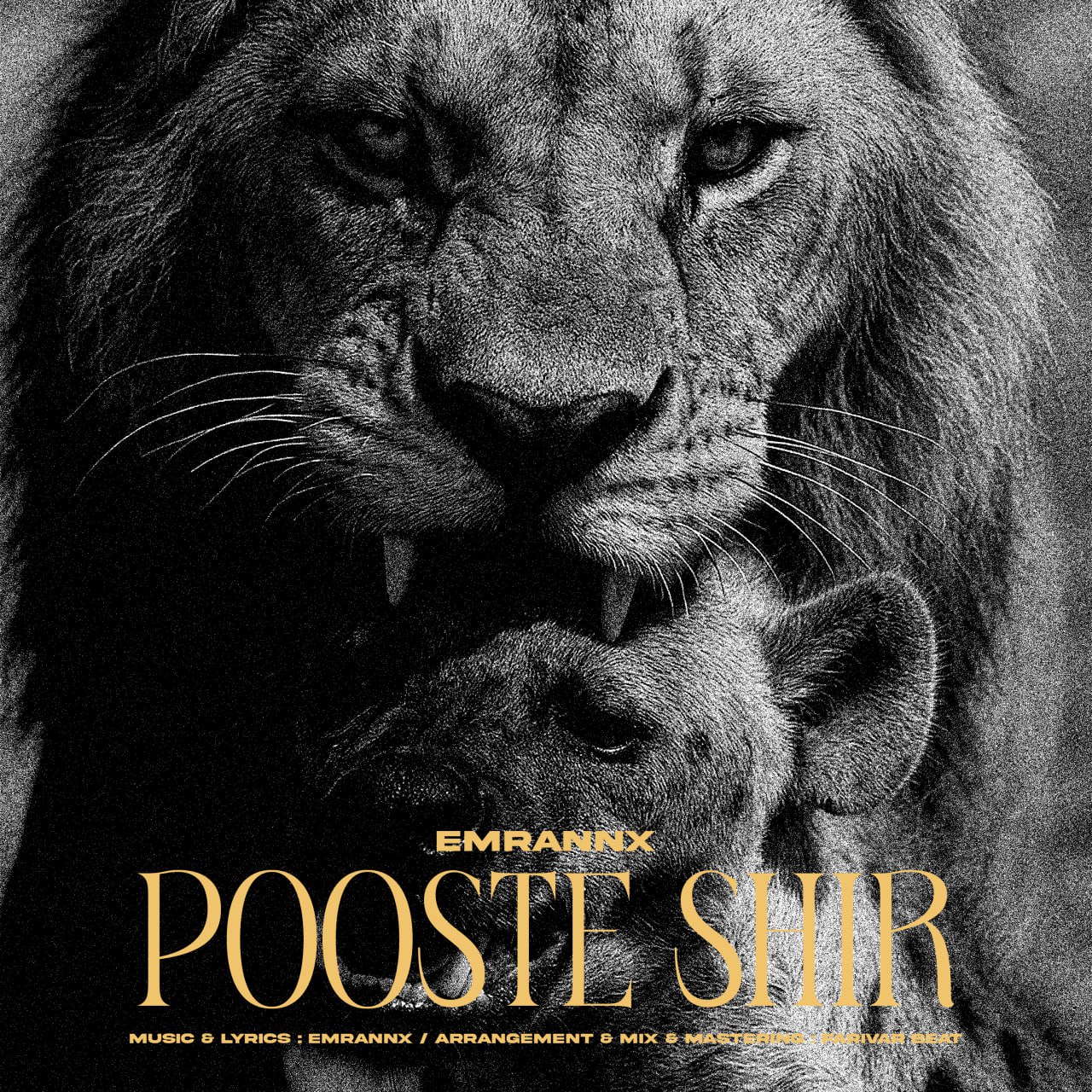 EmranNX – POOSTE SHIR