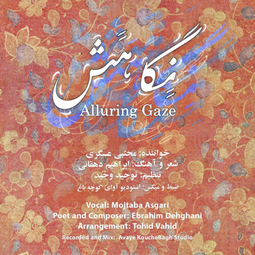 Mojtaba Asgari – Negahash