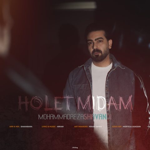 Mohamadreza Shavandi – Holet Midam