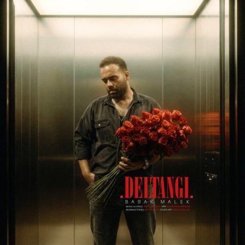 Babak Malek – Deltangi