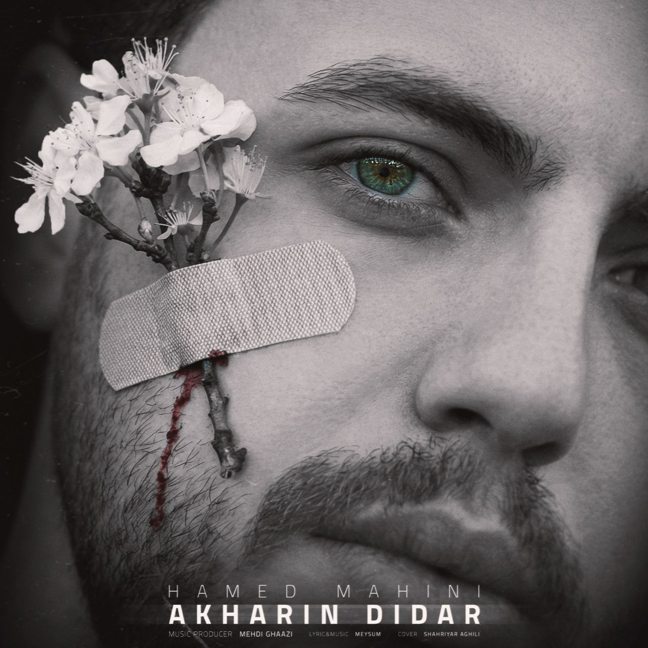 Hamed Mahini – Akharin Didar